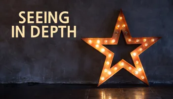 Seeing in Depth