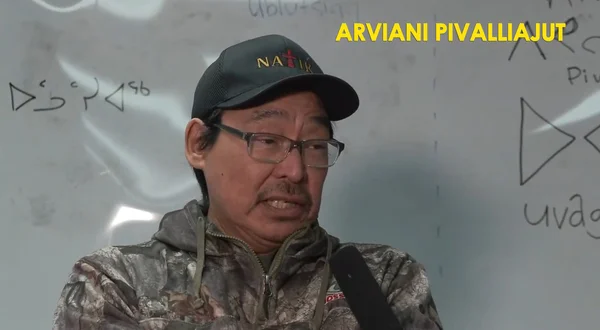 Arviani Pivalliajut