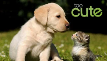Too Cute!