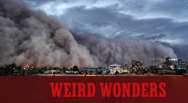 Weird Wonders