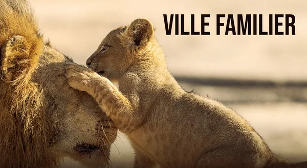 Ville familier