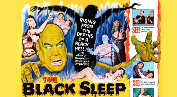 The Black Sleep