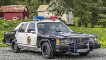 Ozark Police Patrol – Einsatz im Paradies