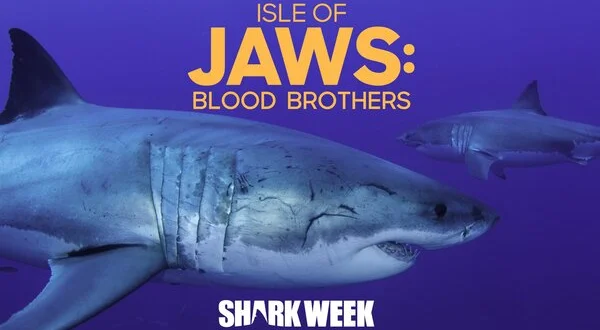 Isle of Jaws: Blood Brothers