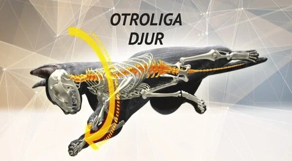 Otroliga djur