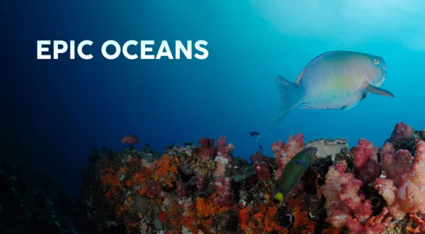 Epic Oceans