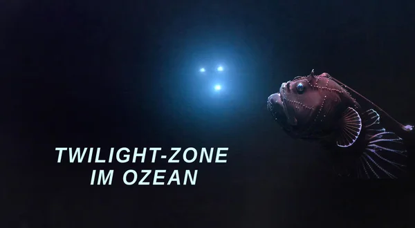 Twilight-Zone im Ozean