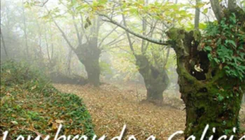 Lembrando a Galicia XIII