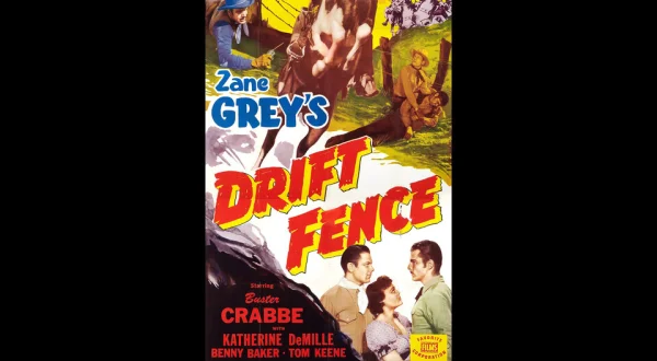 Drift Fence