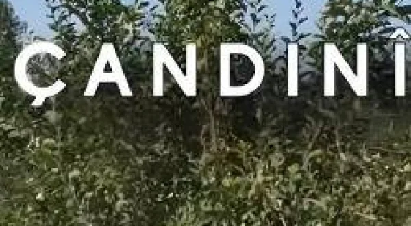 Türkiye'de Tarım (Çandınî)