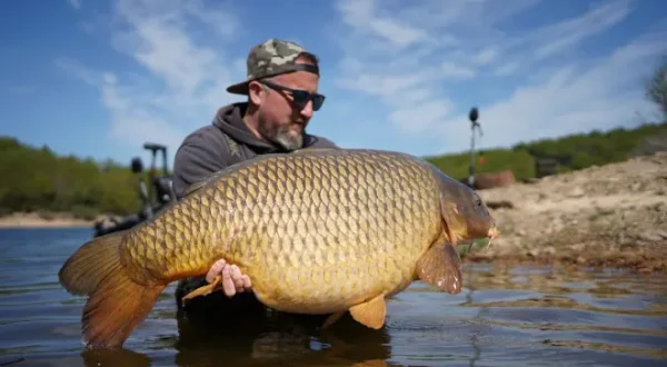 Le spot aux grosses carpes