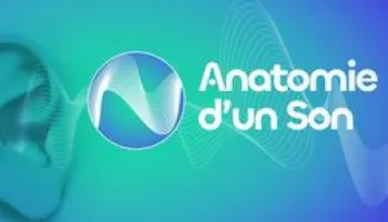 Anatomie d'un son