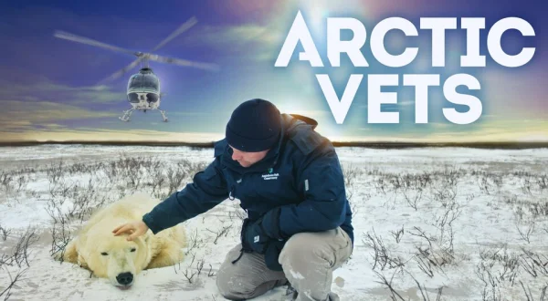Arctic Vets