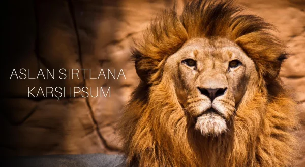 Aslan Sırtlana Karşı