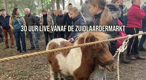 30 uur live vanaf de Zuidlaardermarkt