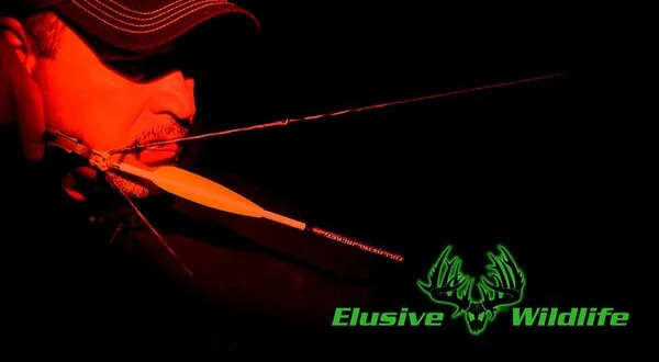 Elusive Wildlife