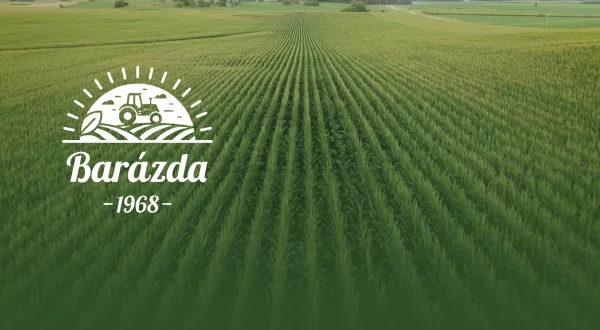 Barázda