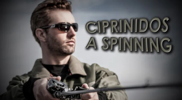 Ciprinidos A Spinning