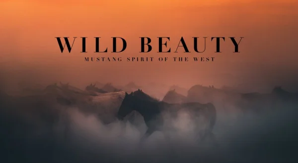 Wild Beauty: Mustang Spirit of the West