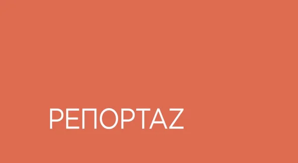 Ρεπορτάζ