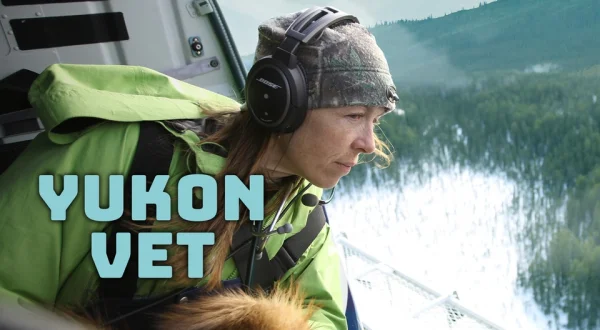 Yukon Vet