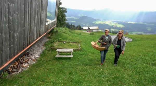 G'sunder Sommer in Österreich