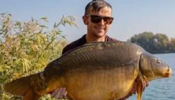 Monster Carp