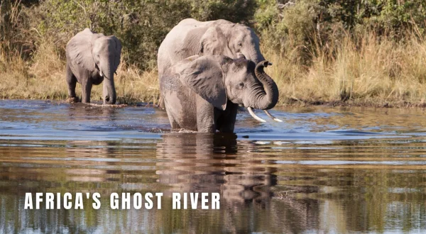 Africa's Ghost River