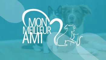 Mon meilleur ami