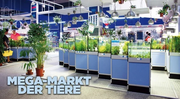 Mega-Markt der Tiere