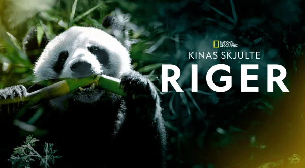 Kinas skjulte riger