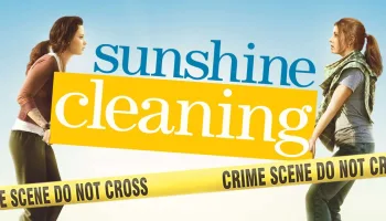 Sunshine Cleaning