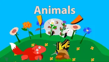 Animals