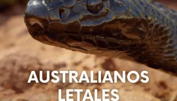 Australianos letales