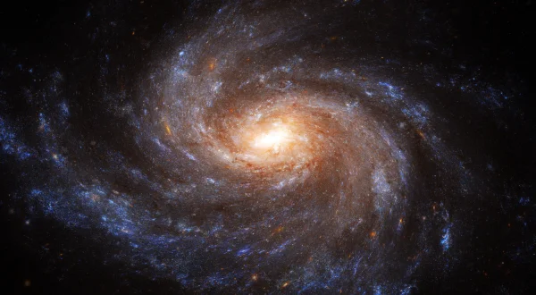 Strip the Cosmos