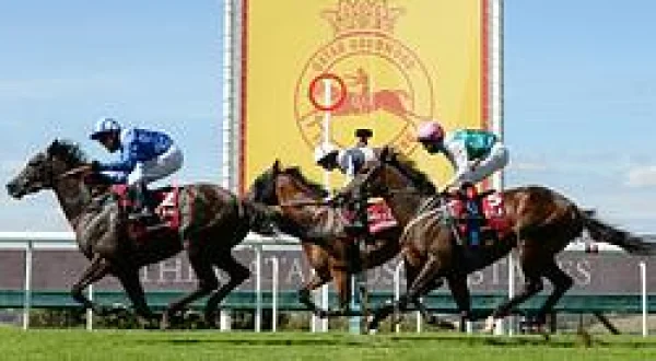 Horse Race From Britain