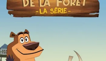 Les rebelles de la forêt, la série