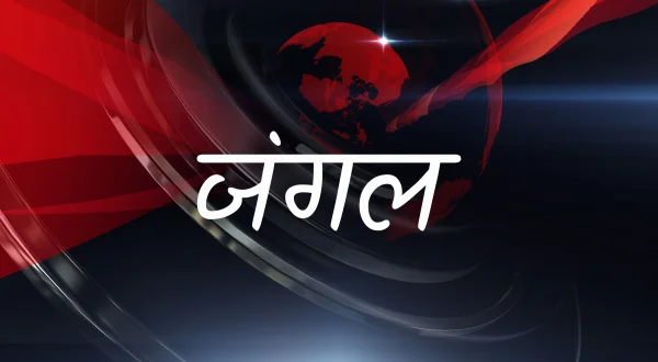 जंगल