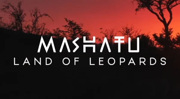 Mashatu: Land of Leopards