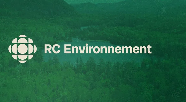 RC environnement
