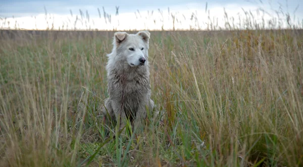 Life Below Zero – Überleben in Alaska