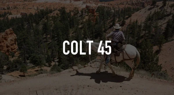 Colt 45