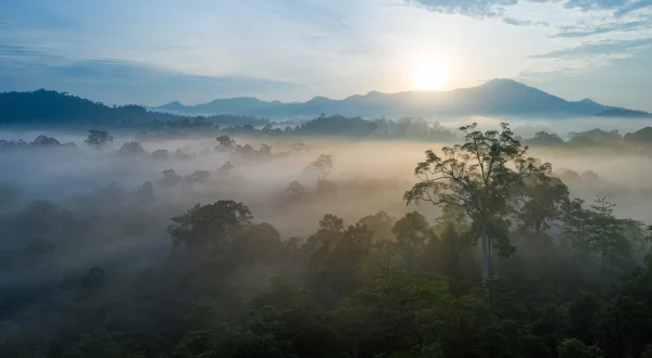 Eden auf Erden – Die letzten Paradiese
