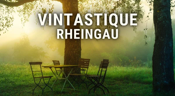 Vintastique: Rheingau