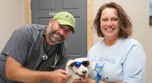 Les Vétérinaires du Midwest