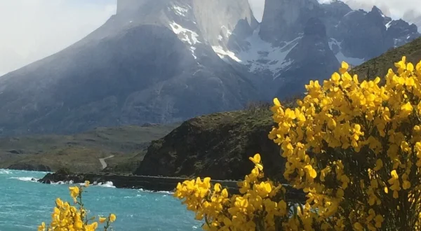 Patagonien – 4000 Kilometer offroad am Ende der Welt