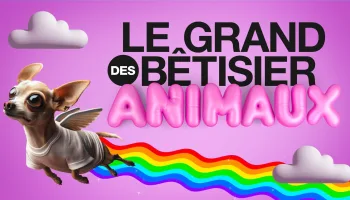 Le grand bêtisier des animaux