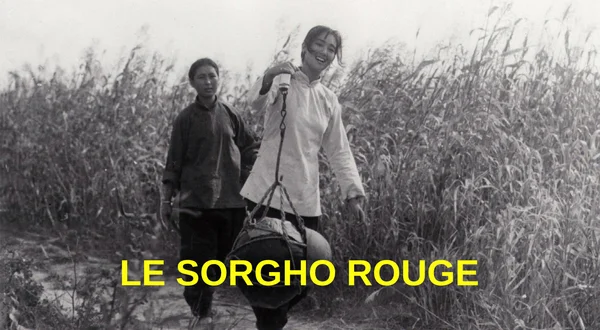 Le Sorgho rouge