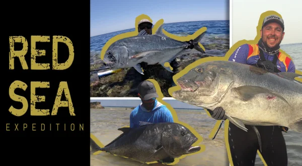 Mar Rojo Expedition