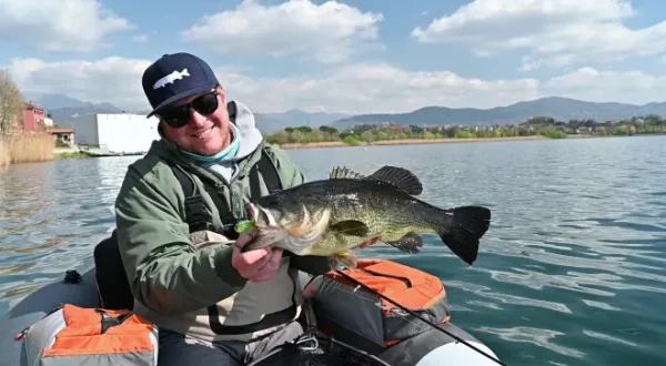 Big Bass Dreams Italy